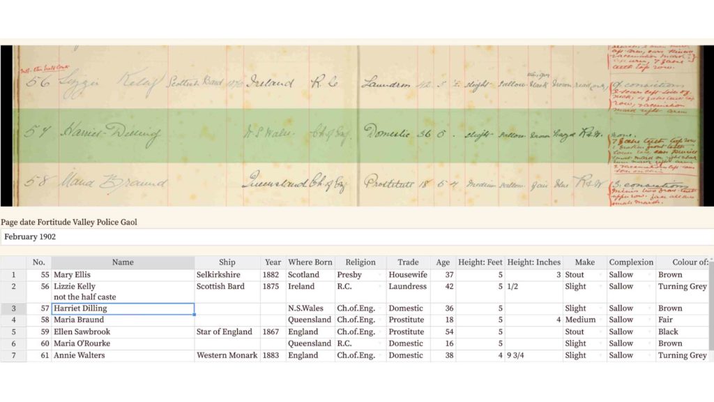 Image of FromThePage spreadsheet transcription feature